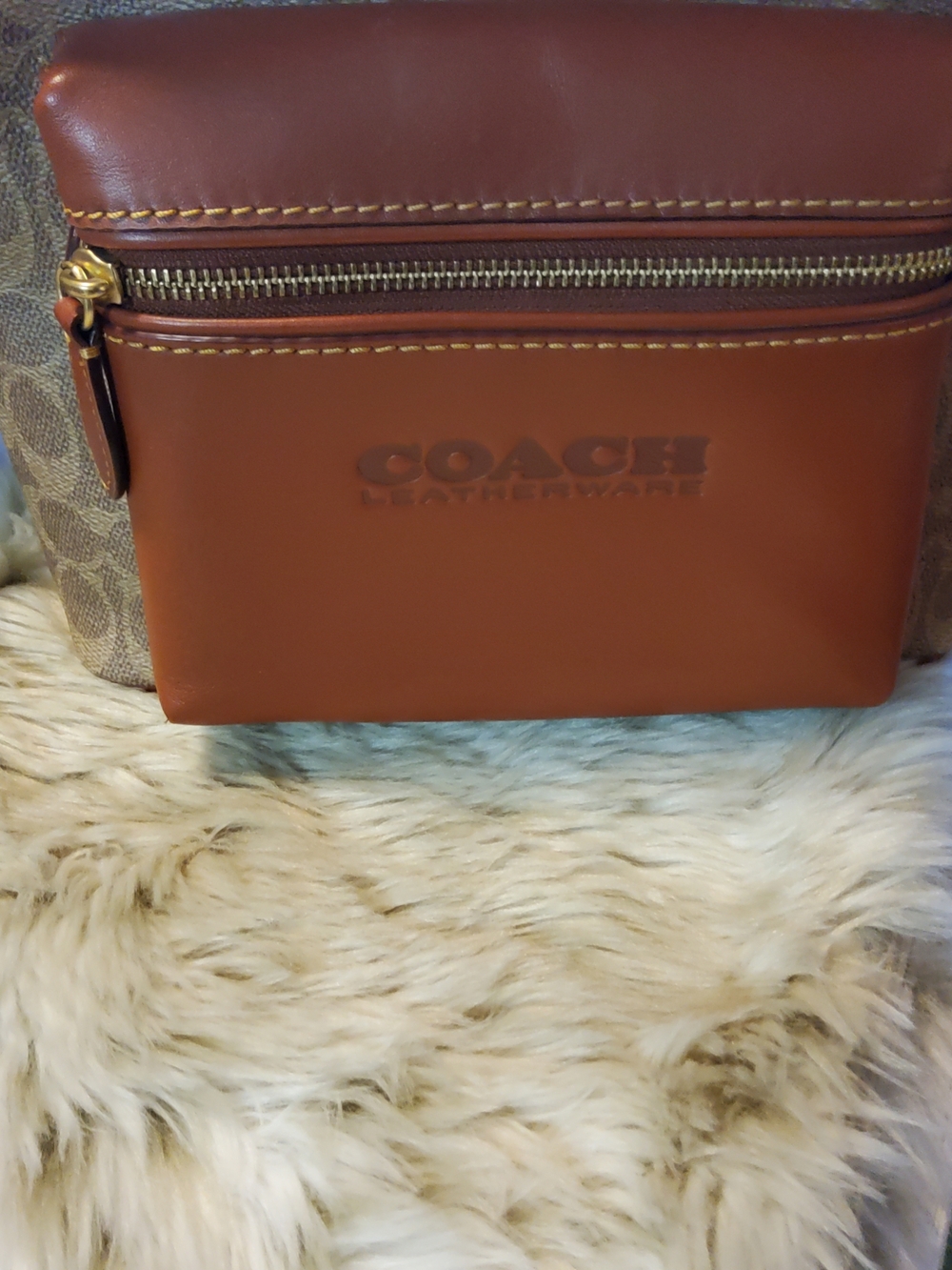Coach Charter Backpack C8847 Beyond EUC - Picture 16 of 16